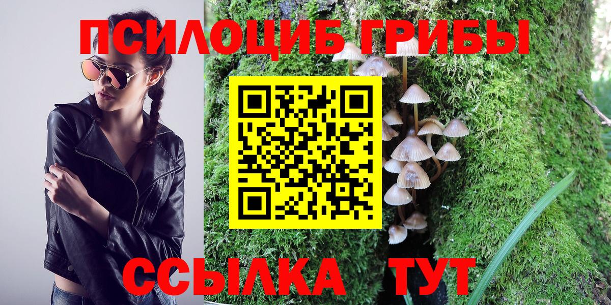 Псилоцибиновые грибы GOLDEN TEACHER Новоалтайск