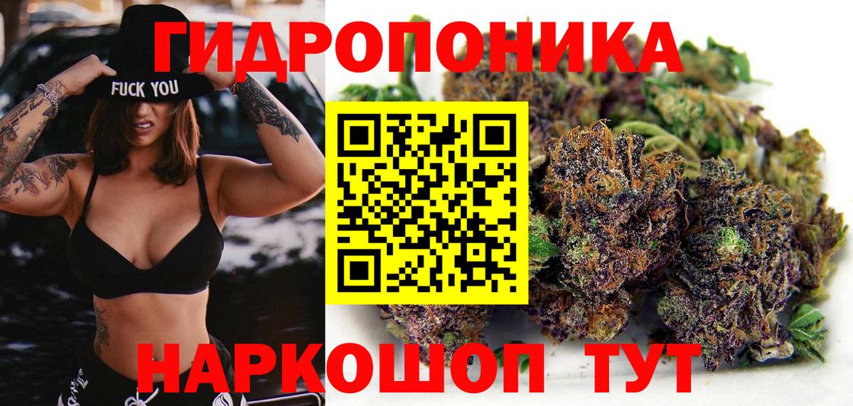 Шишки марихуана сатива Новоалтайск
